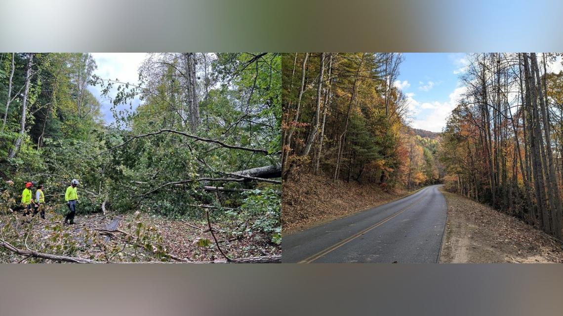 Blue Ridge Parkway is reopening another section | wltx.com