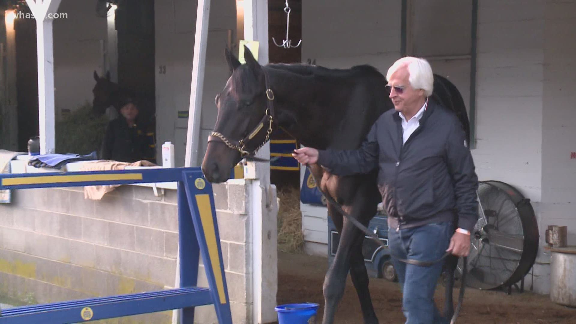 A post-race test found 21 picograms, double the legal limit, of betamethasone in Medina Spirit's blood following the Kentucky Derby.