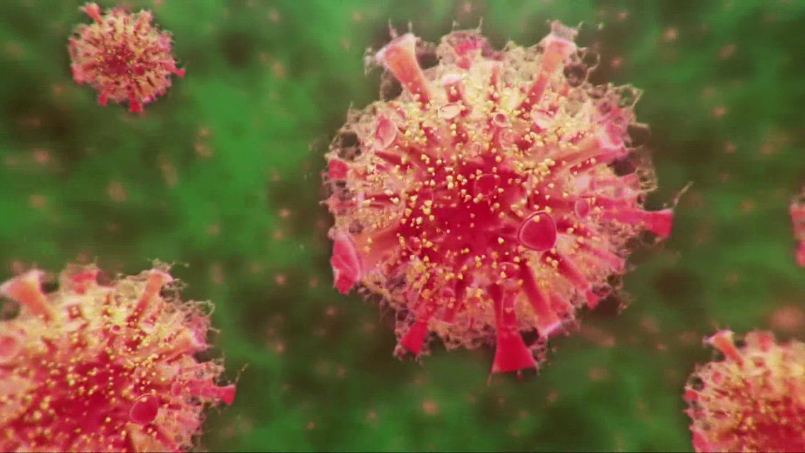 What to know about the Omicron BF.7 COVID variant | wltx.com
