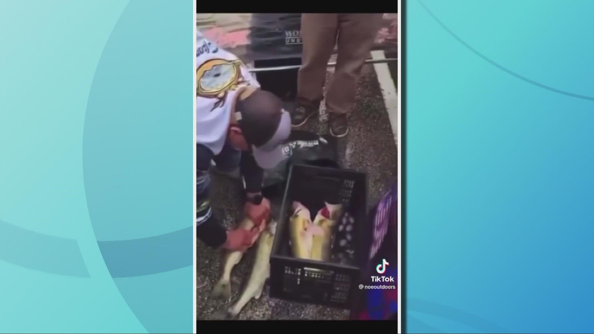 An investigation is underway after two competitors were allegedly caught cheating by adding weights and fish filets inside their catch.