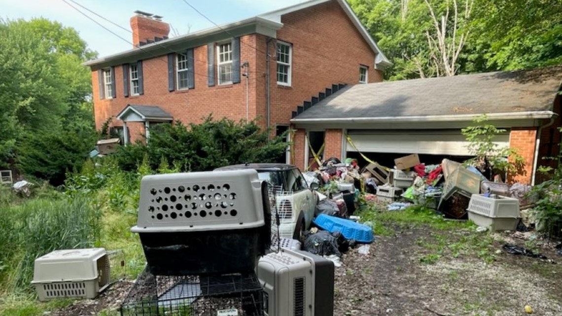 Portage County: 146 dead dogs found in home | wltx.com