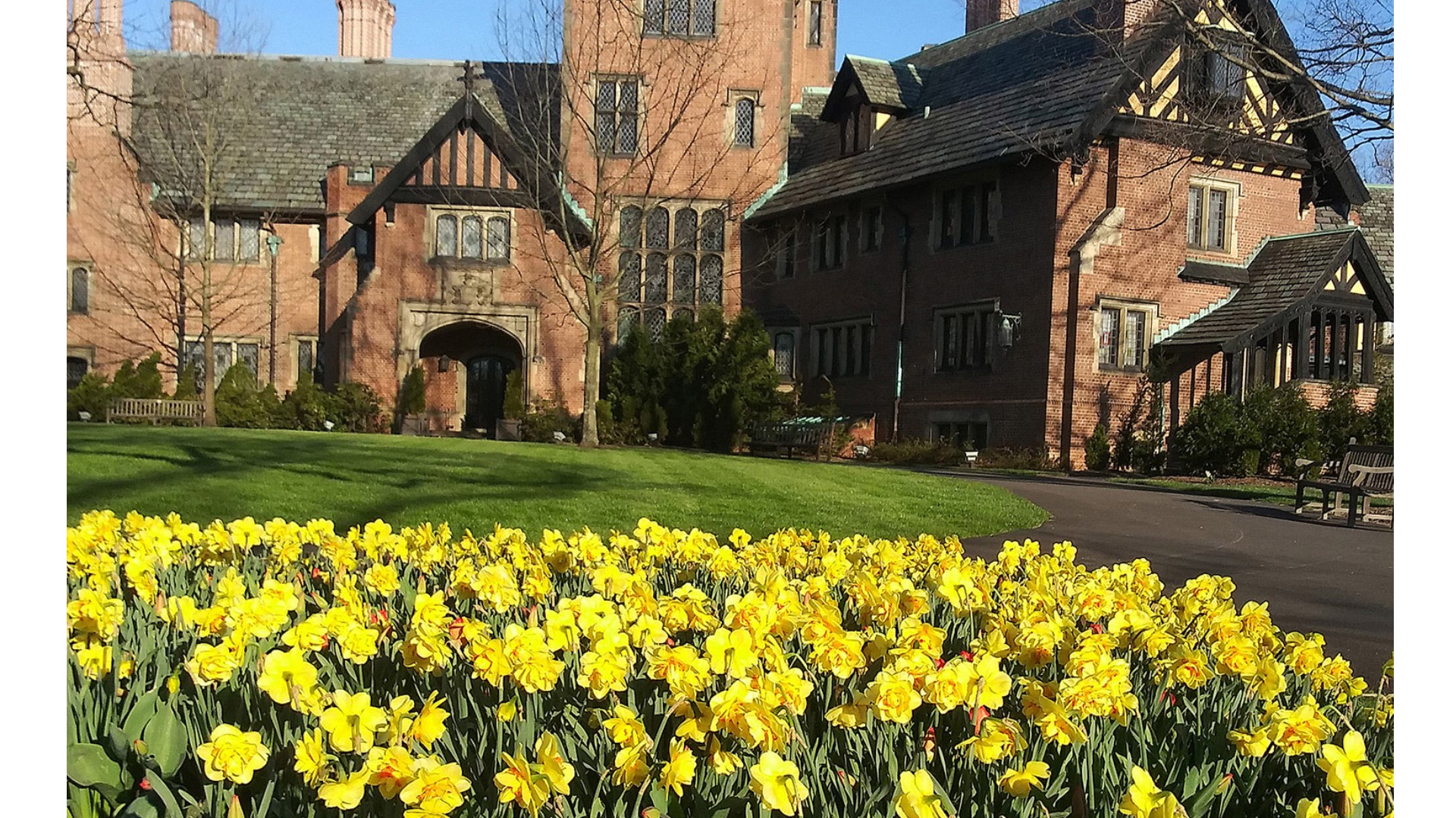 Things To Do In Northeast Ohio This Weekend April 24 26 Wltx things-to-do-in-northeast-ohio-this-weekend-april-24-26-wltx