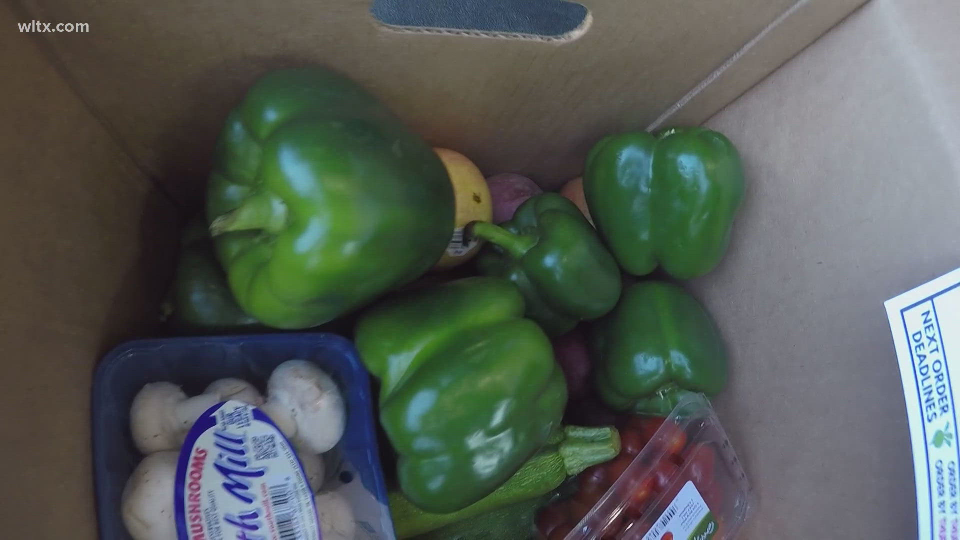 FoodShare SC’s renovated facility will host community classes in 2025, teaching healthy eating and cooking while expanding service capacity.