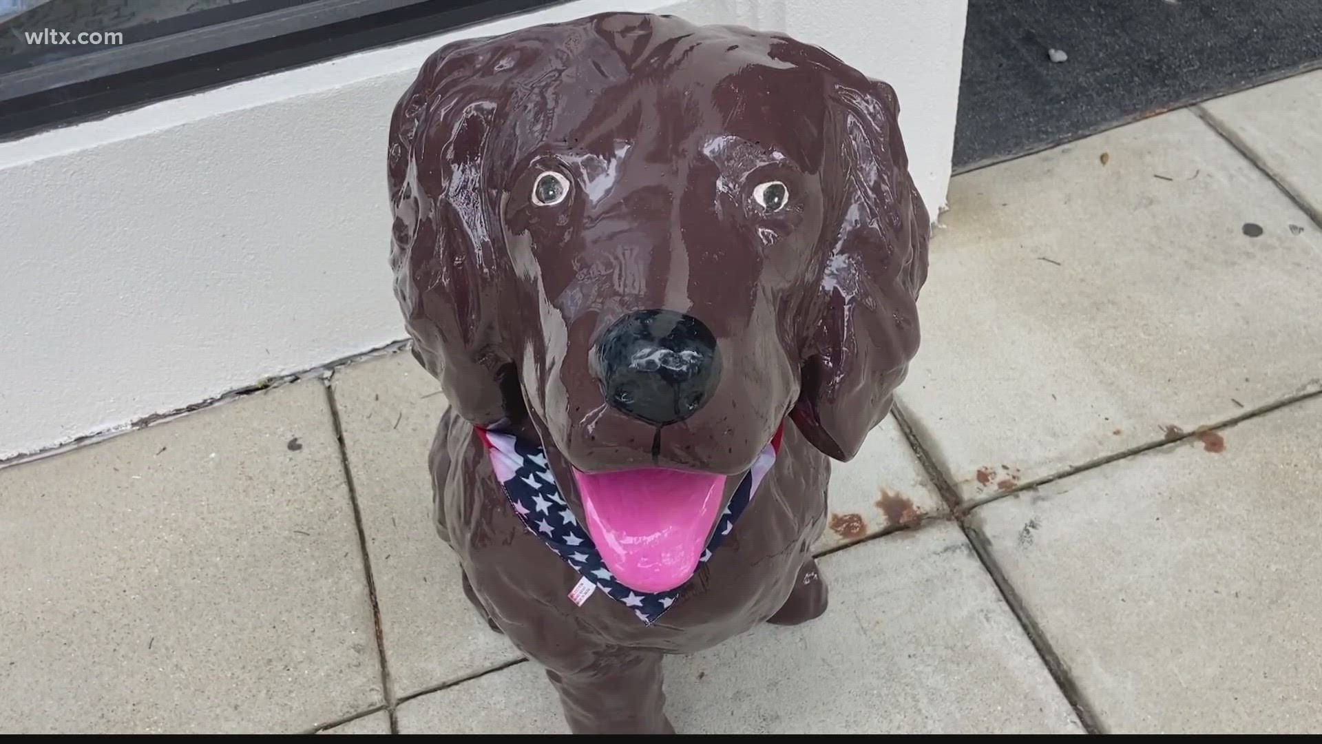 Other towns have horses or pigs and well its the South Carolina state dog--so statues of Boykin Spaniels are coming to Camden.