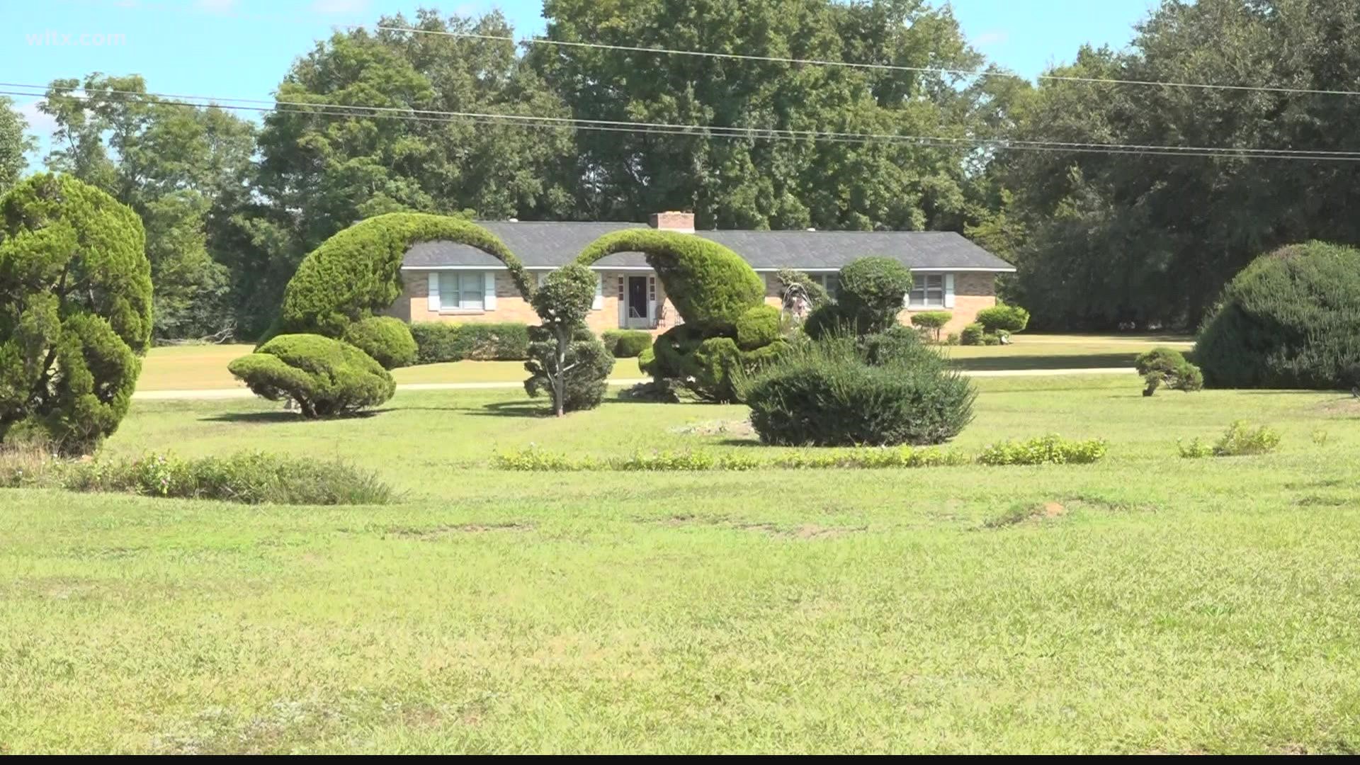 Pearl Fryar's topiary garden is must see in Bishopville, but as Fryar gets older, the community is rallying to help save his beautiful garden.