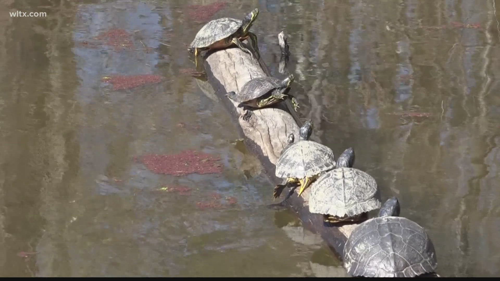 The money is aimed to help beautify nature with more local parks.