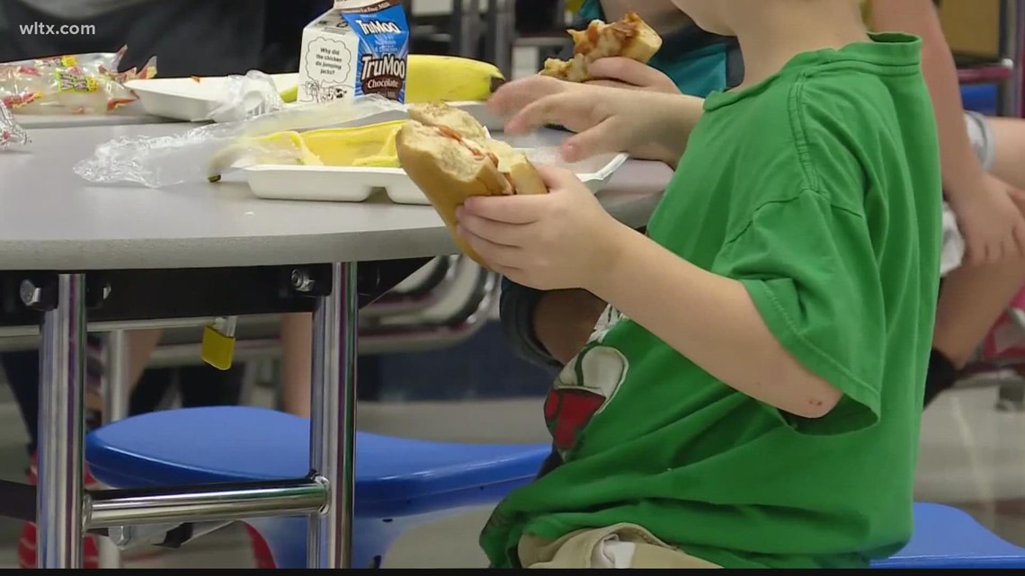 Midlands schools experiencing food supply chain disruptions - Vimarsana News