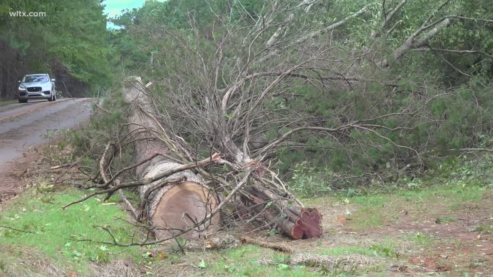 SCDOT says crews have been working around the clock to get South Carolina roads cleared after Hurricane Helene downed trees across the state.