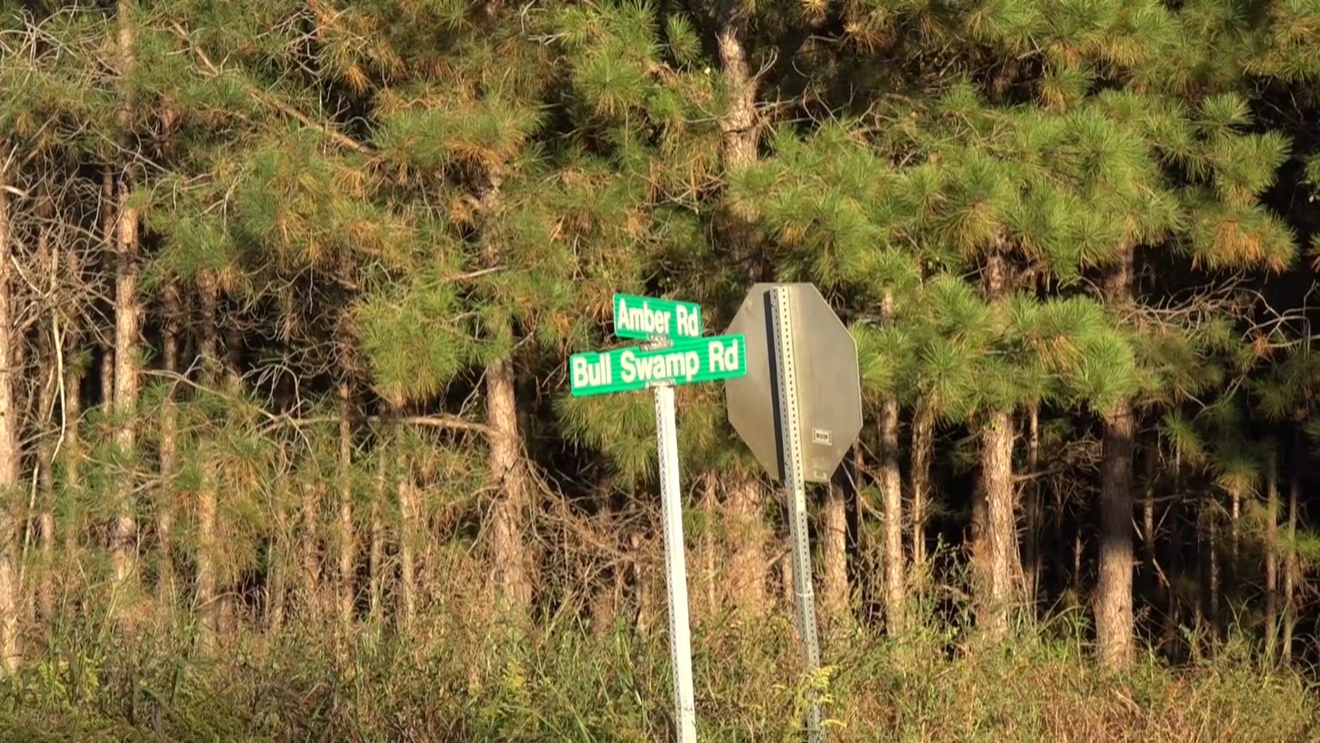 Rezoning request for 219-acre development in Orangeburg County advances ...