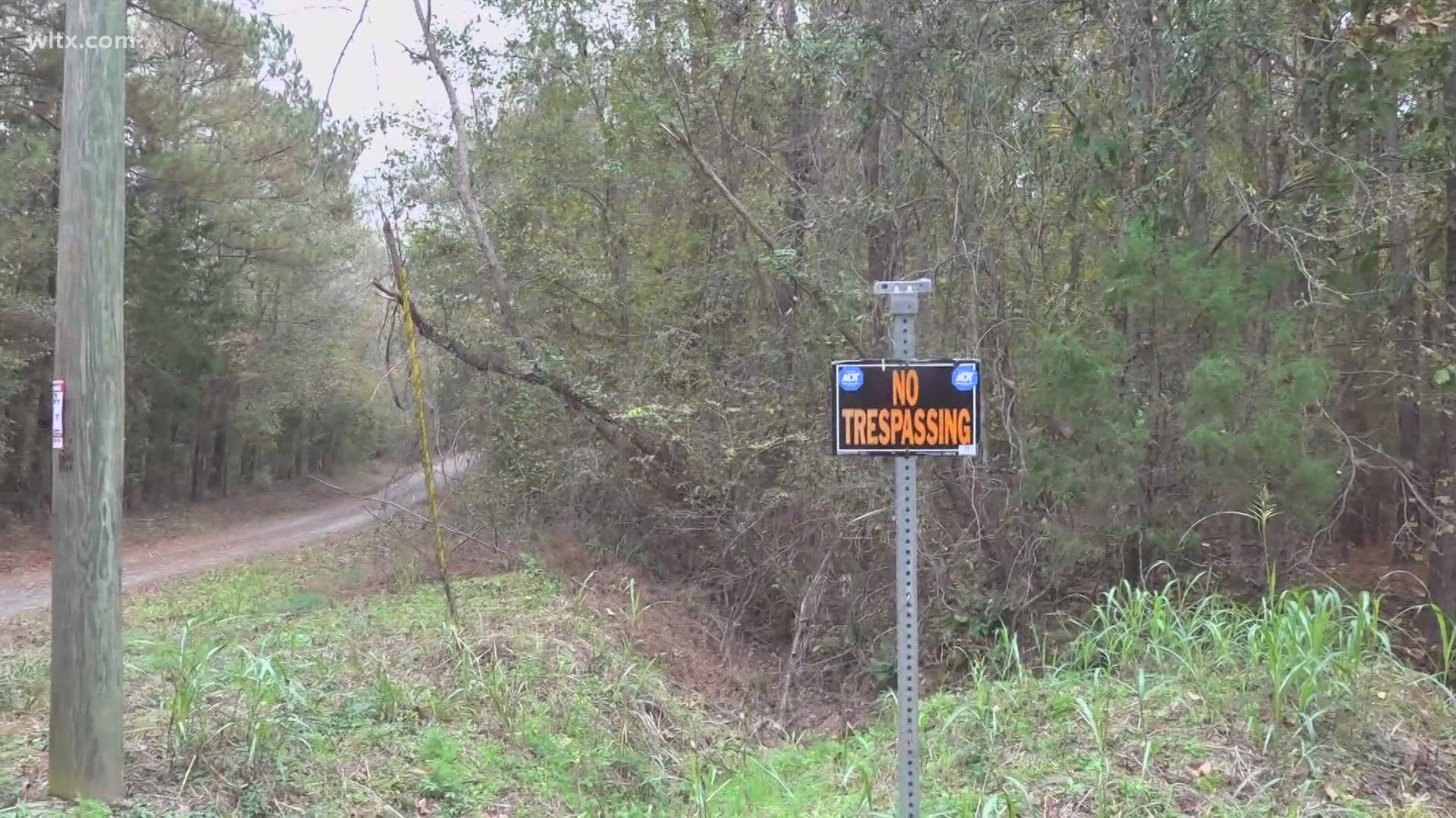 Saluda County road sign theft cost $16,000 last year. Sheriff Josh Price warned of safety risks for emergency responders, and residents are frustrated.