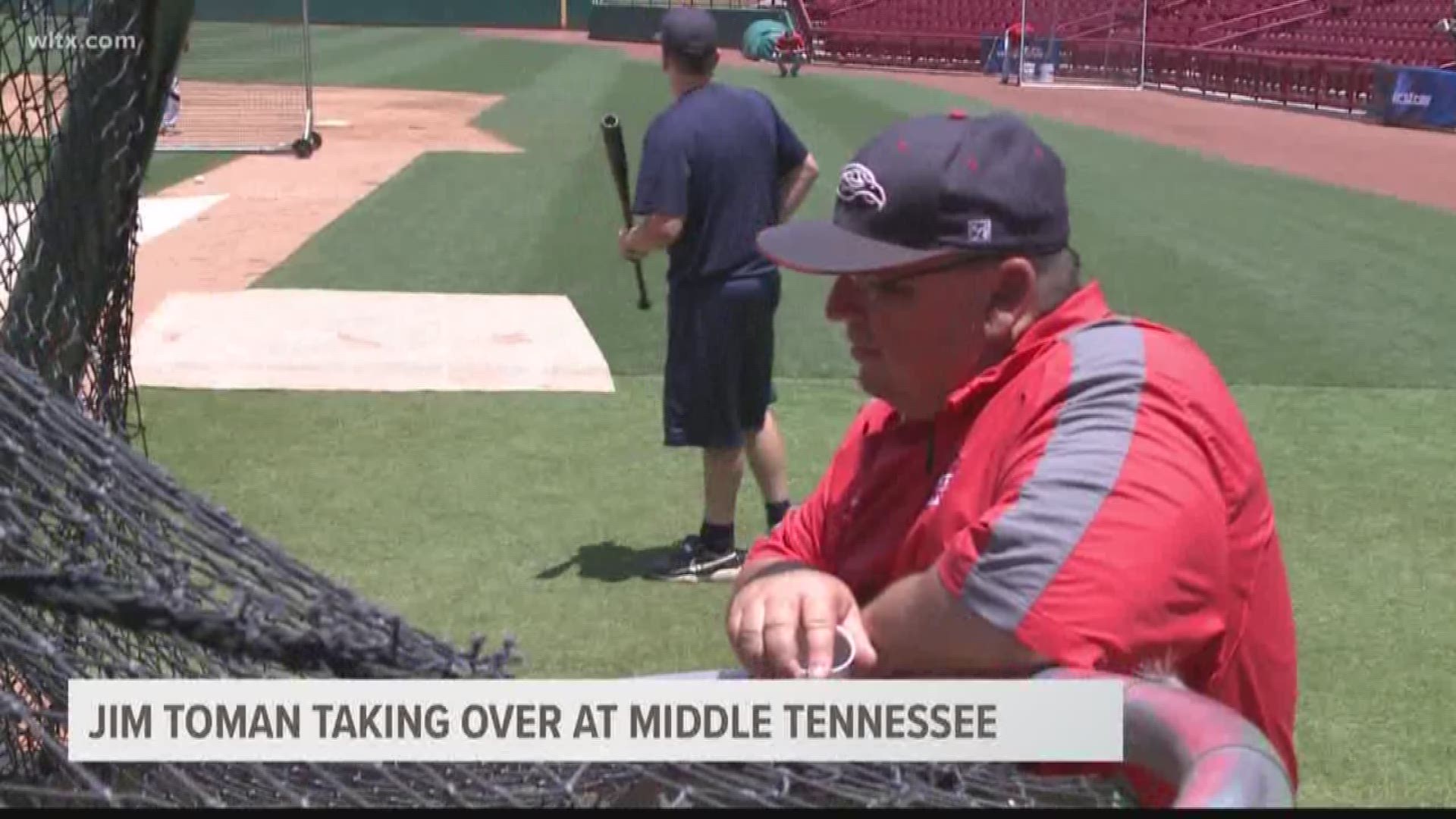 Former USC assistant baseball coach Jim Toman has been named the new head coach at Middle Tennessee State University.