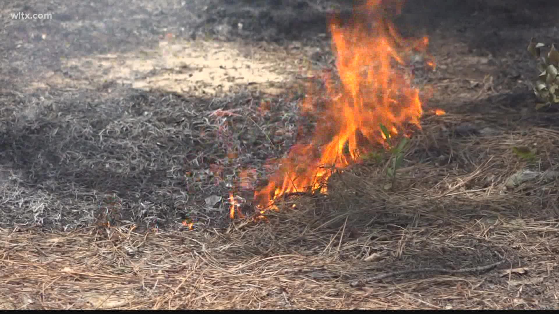 The South Carolina Forestry Commission has lifted a statewide red flag alert citing improving weather conditions that considerably reduce the danger of wildfires.