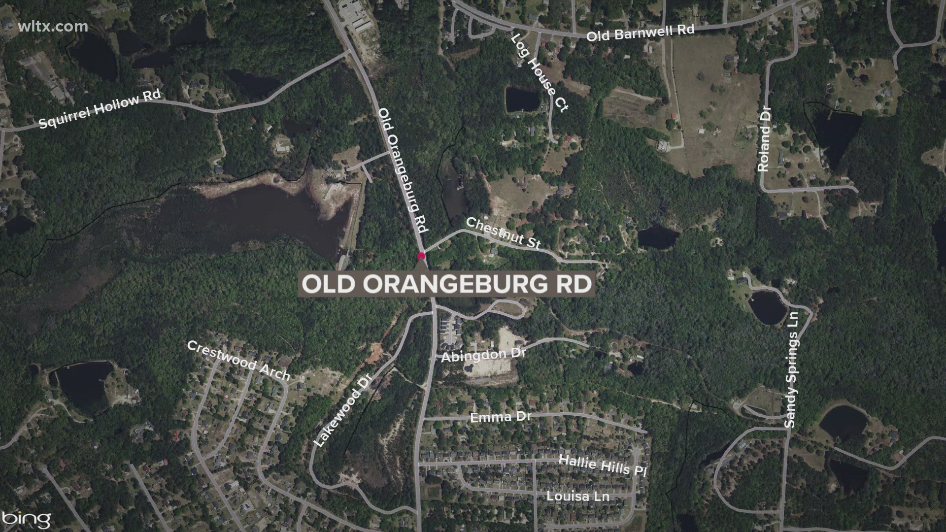 Driver who died in Old Orangeburg Road crash in Lexington County