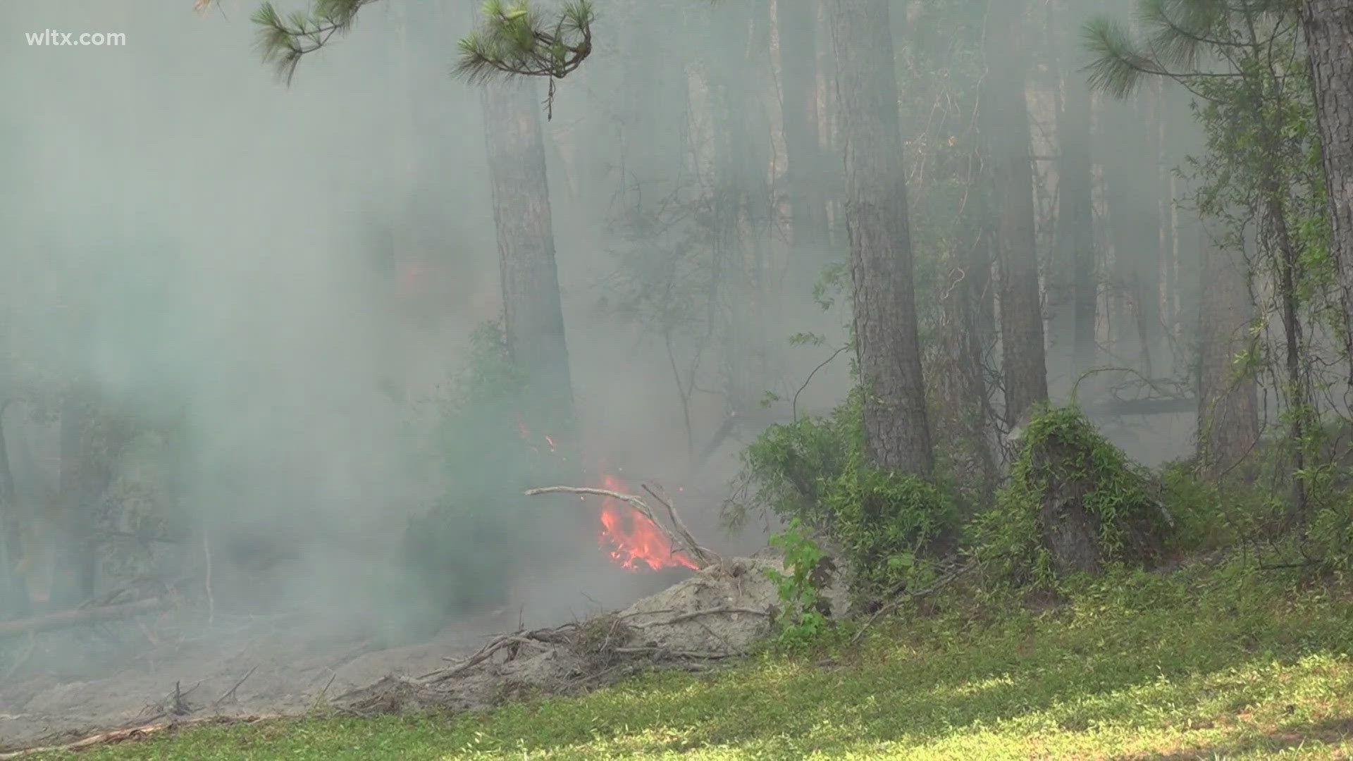 A brush fire caused heavy smoke to pour over a section of I-20 in Kershaw County on Friday afternoon.