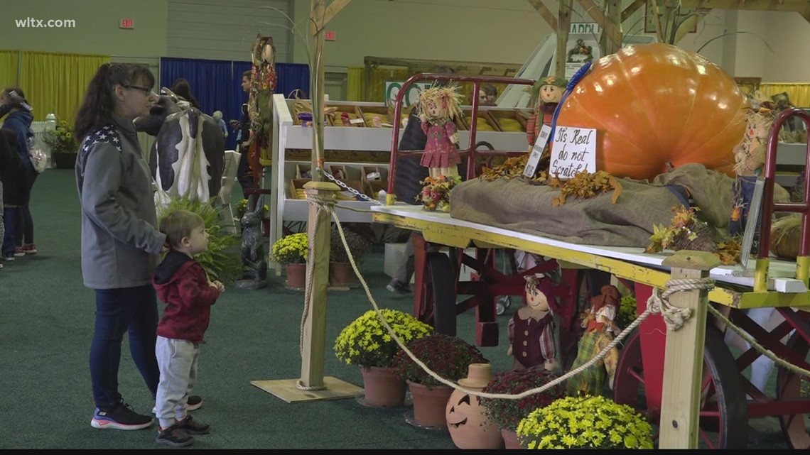 Here's how Miracle Grow and 10-10-10 gets you a blue ribbon - Vimarsana News