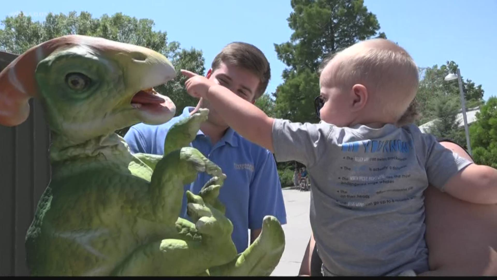Dinosaur Exhibit To Be Featured At Riverbanks Zoo Wltx Com