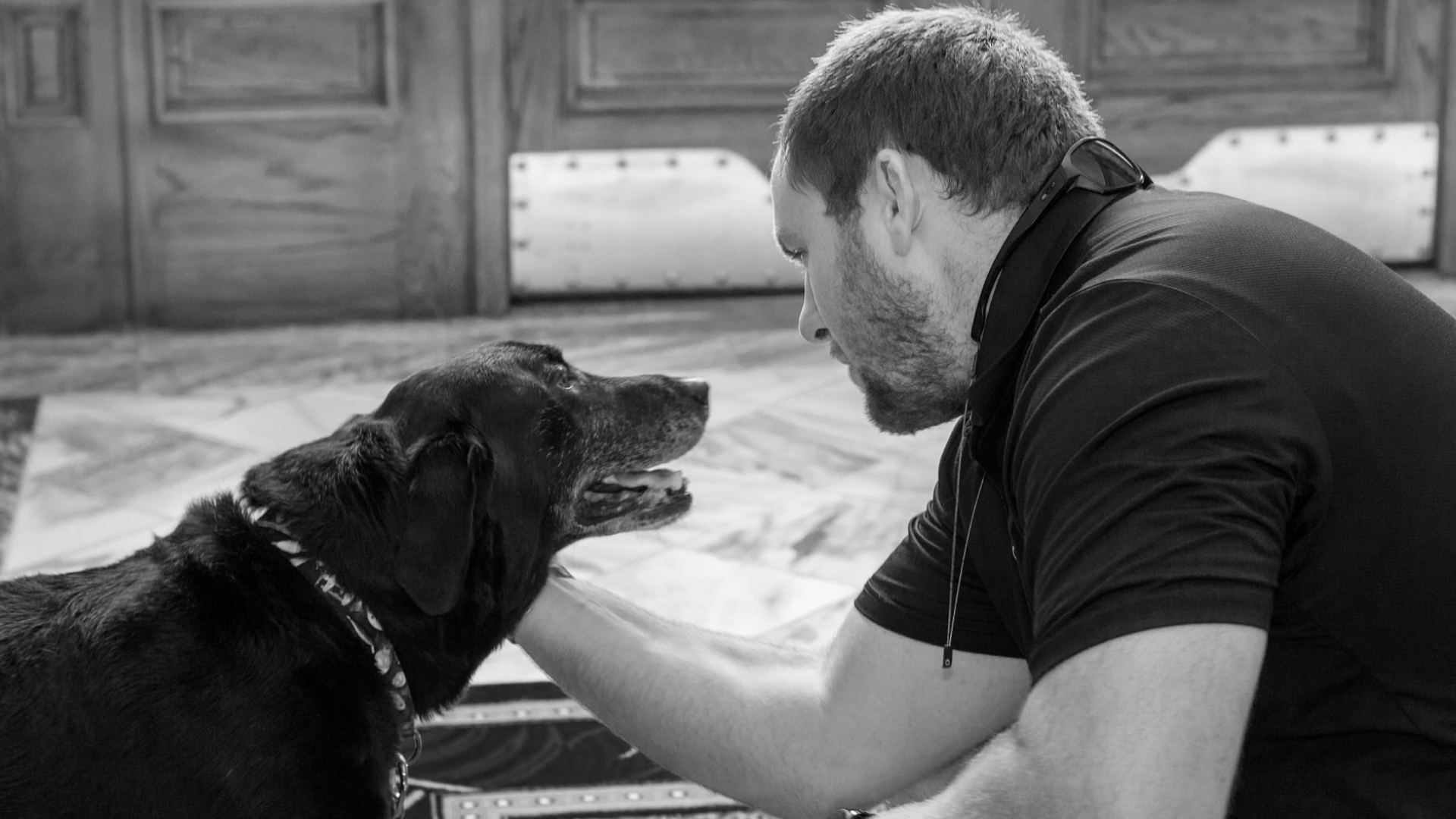 Marine reunites with K-9 eight years after they served together | wltx.com
