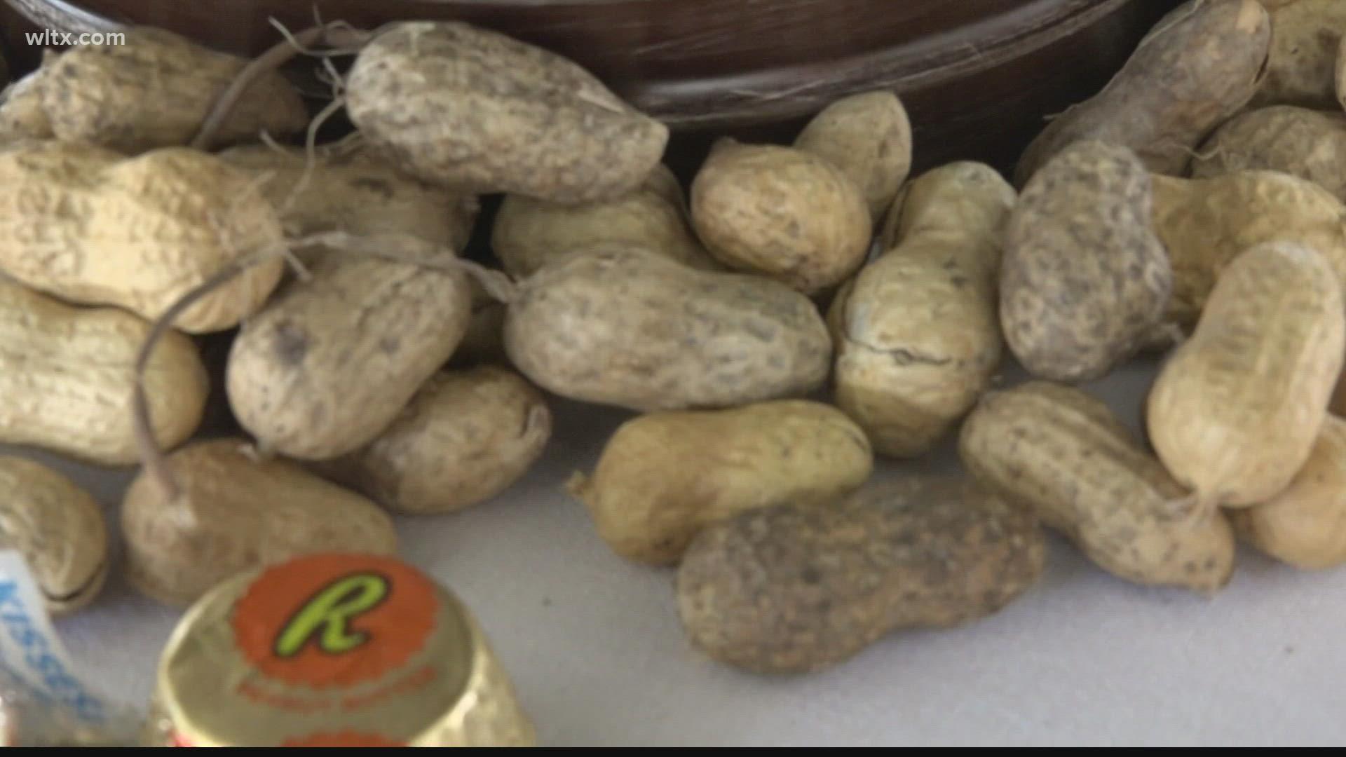 Premium Peanut, a Georgia based peanut shelling company is going to be building in Orangeburg county and say they will create over 130 jobs in next 5 years.