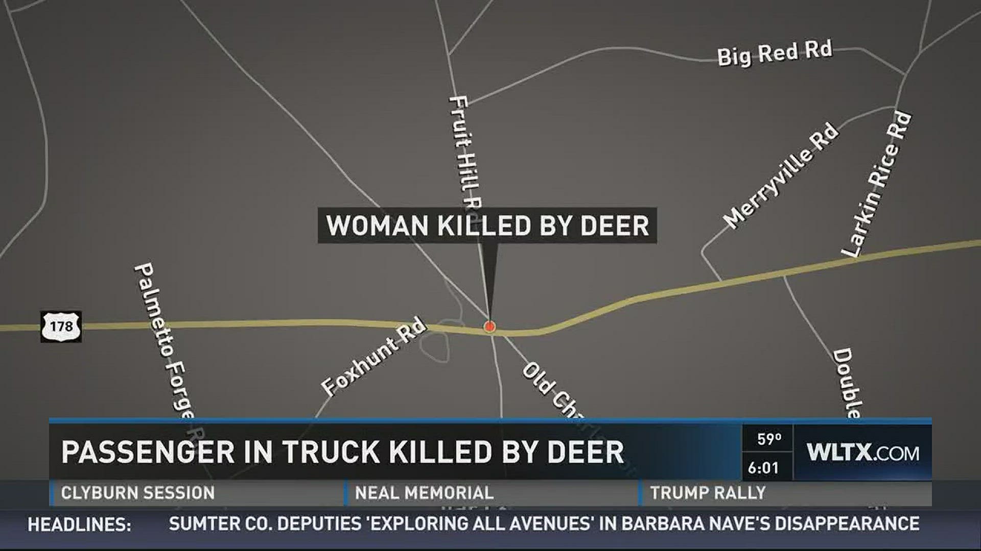 Woman killed by deer struck by car in front of her | wltx.com