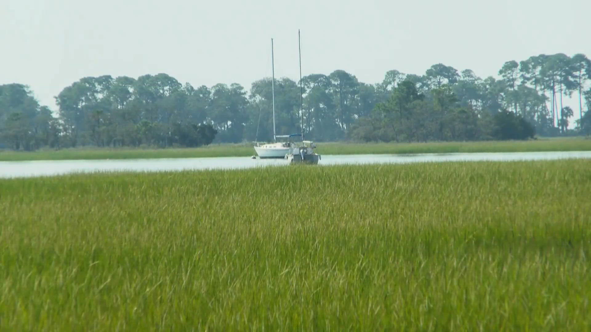 Sol Legare residents fight proposed 929-foot private dock | wltx.com