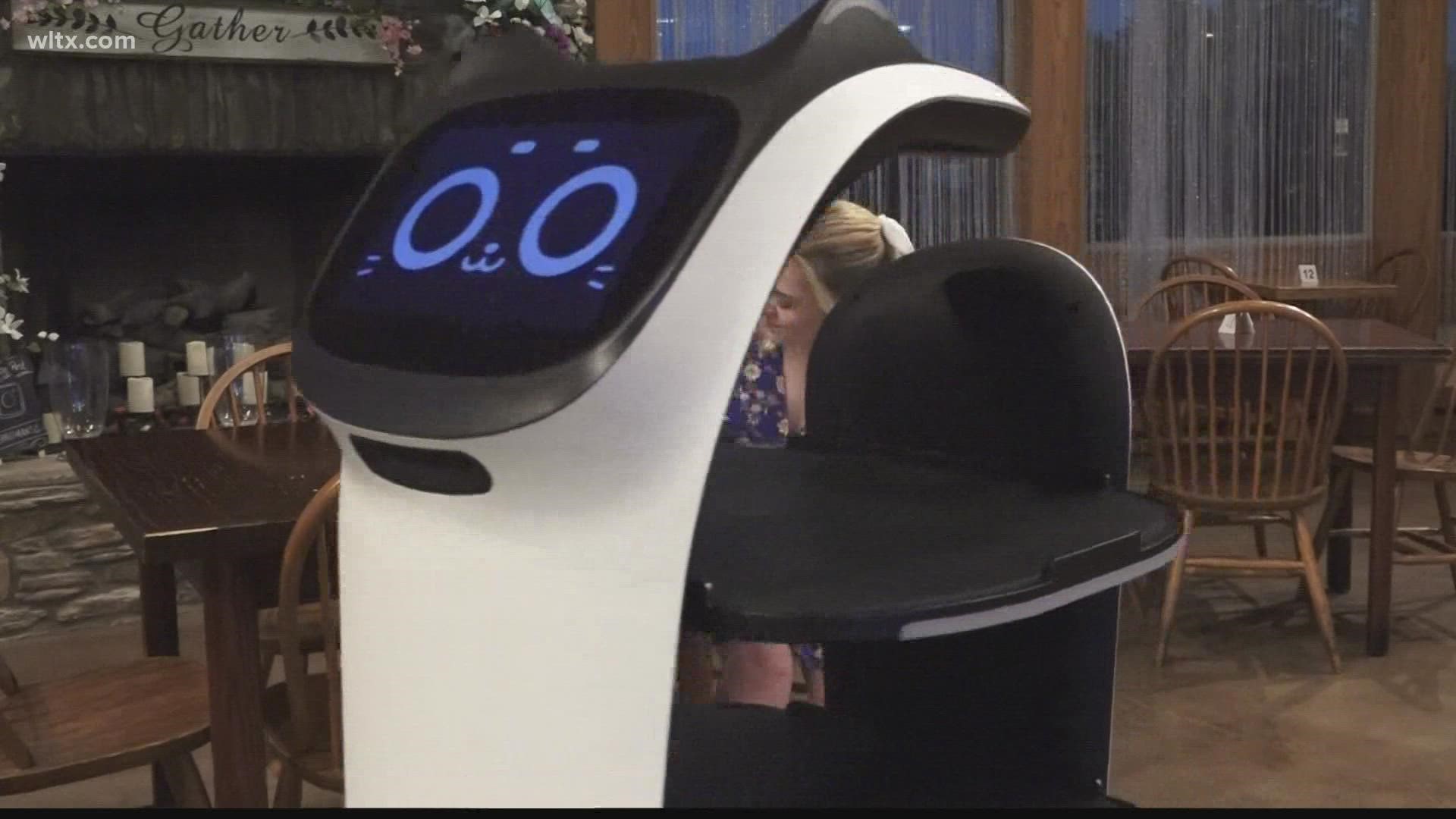 The Peanut Man Gourmet Café has just hired a new robot server to help bring customers their food.