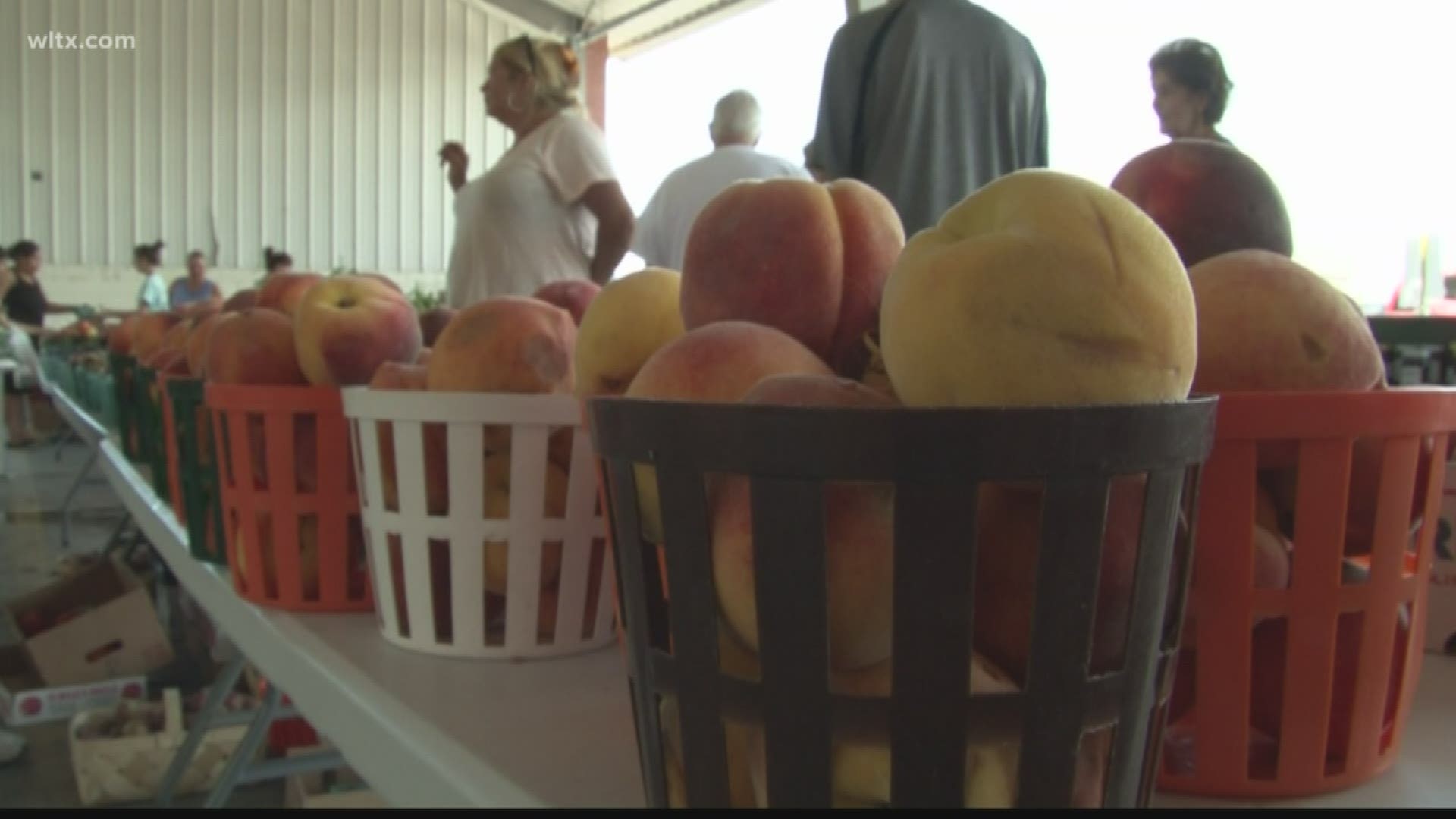 The South Carolina Agriculture Dept. officers are closings, but the state's farmer's markets will remain open.