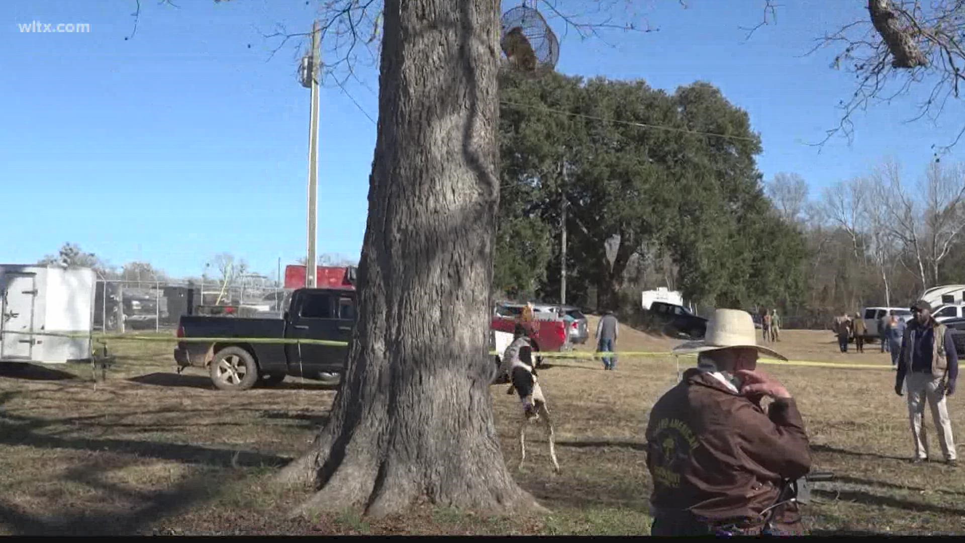 The Grand American Coon Hunt in Orangeburg County brings people by the thousands to enjoy the sport. One coon hunter reflects on how the sport has changed.