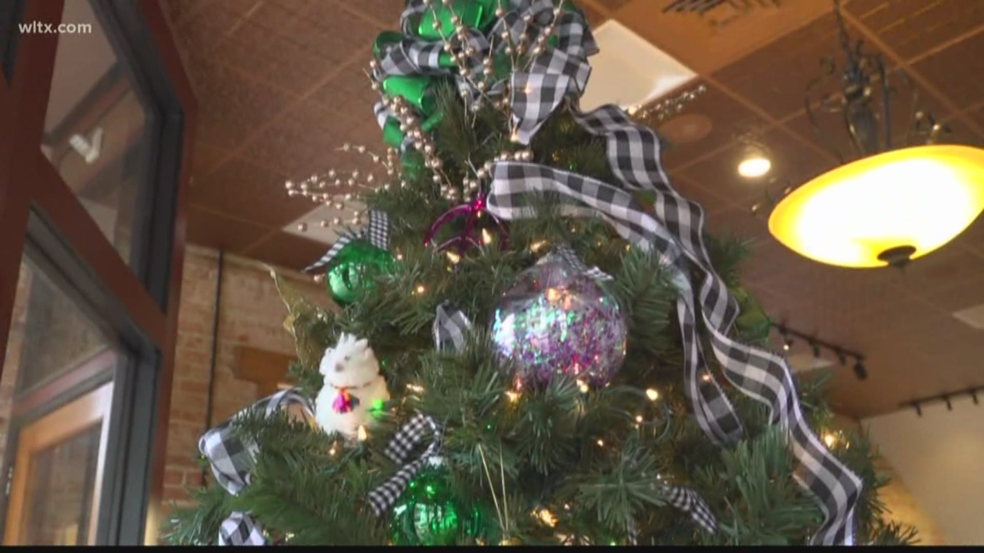 For the past 18 years the Tuomey Foundation has hosted the festival of trees with proceeds to help hospice care