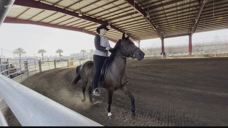Paso Fino horses keep up the tradition at the SC State Fair
