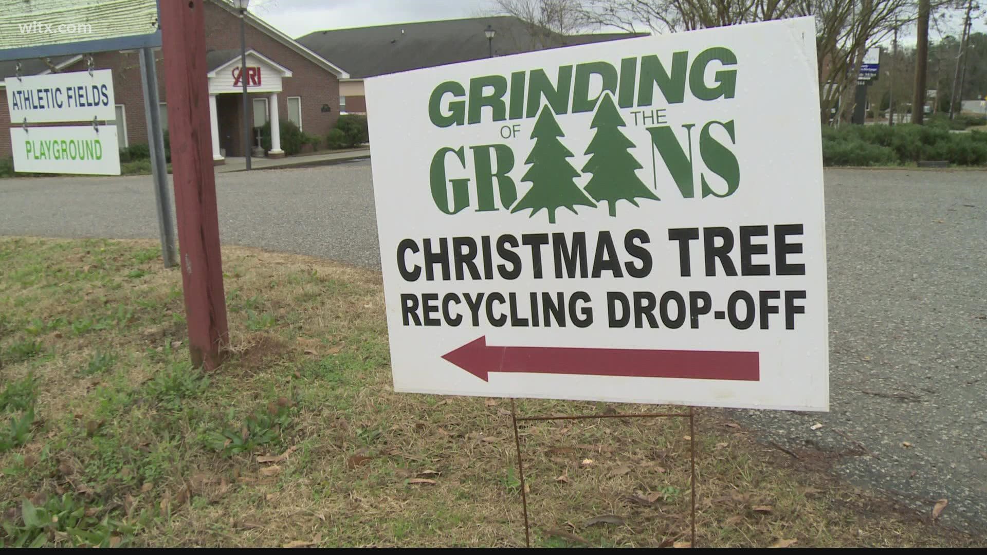 RECYCLE YOUR TREE, GET FREE MULCH! Grinding of the Greens is underway again this year.