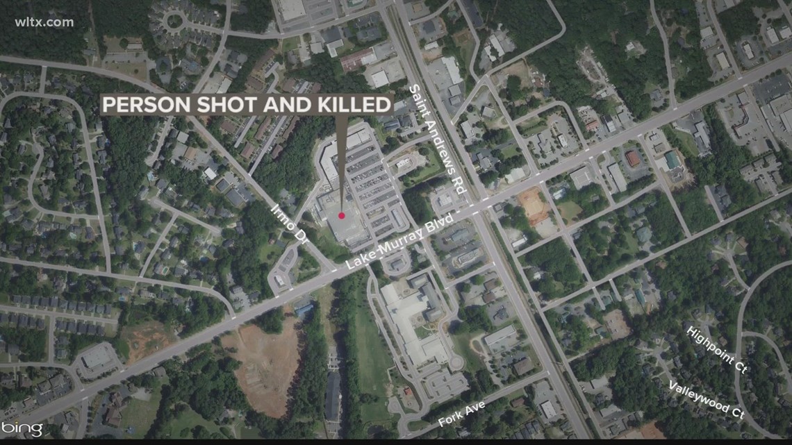 Woman shoots, kills person in Irmo grocery store parking lot | wltx.com
