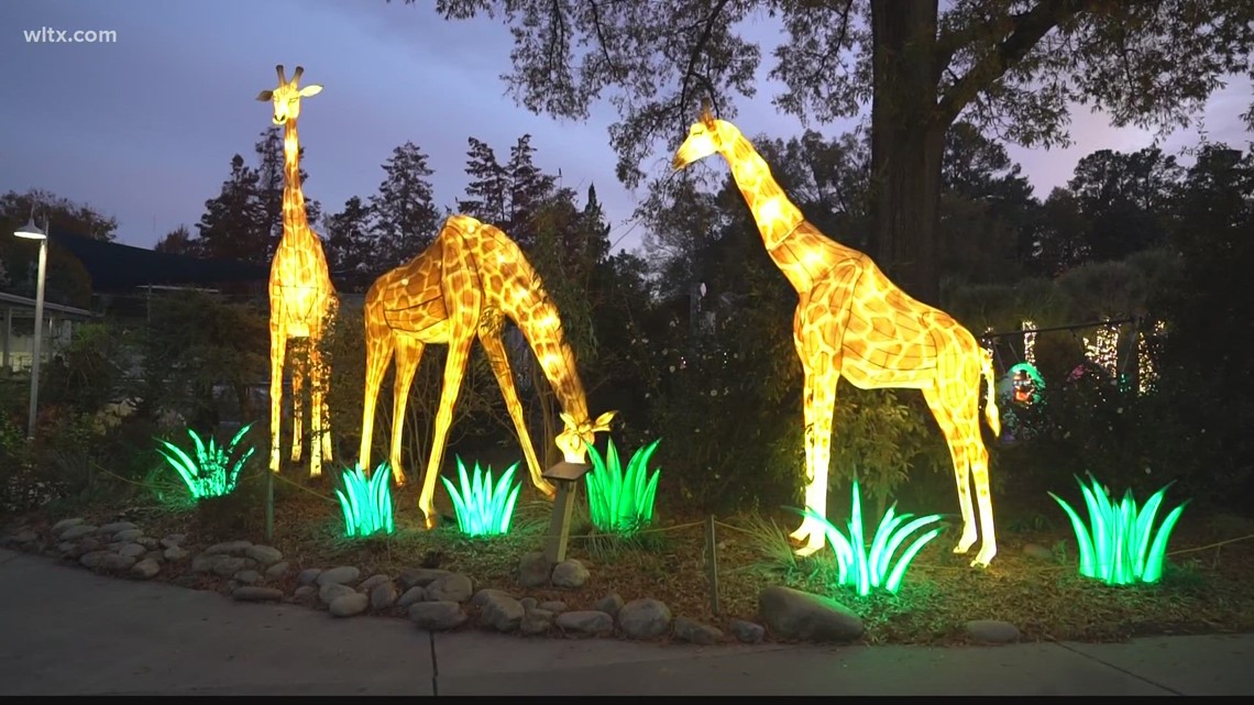 Wild Lights at Riverbanks Zoo and Garden gets underway