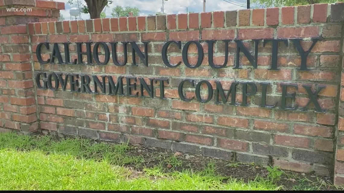 Calhoun county may decide on a new form of government