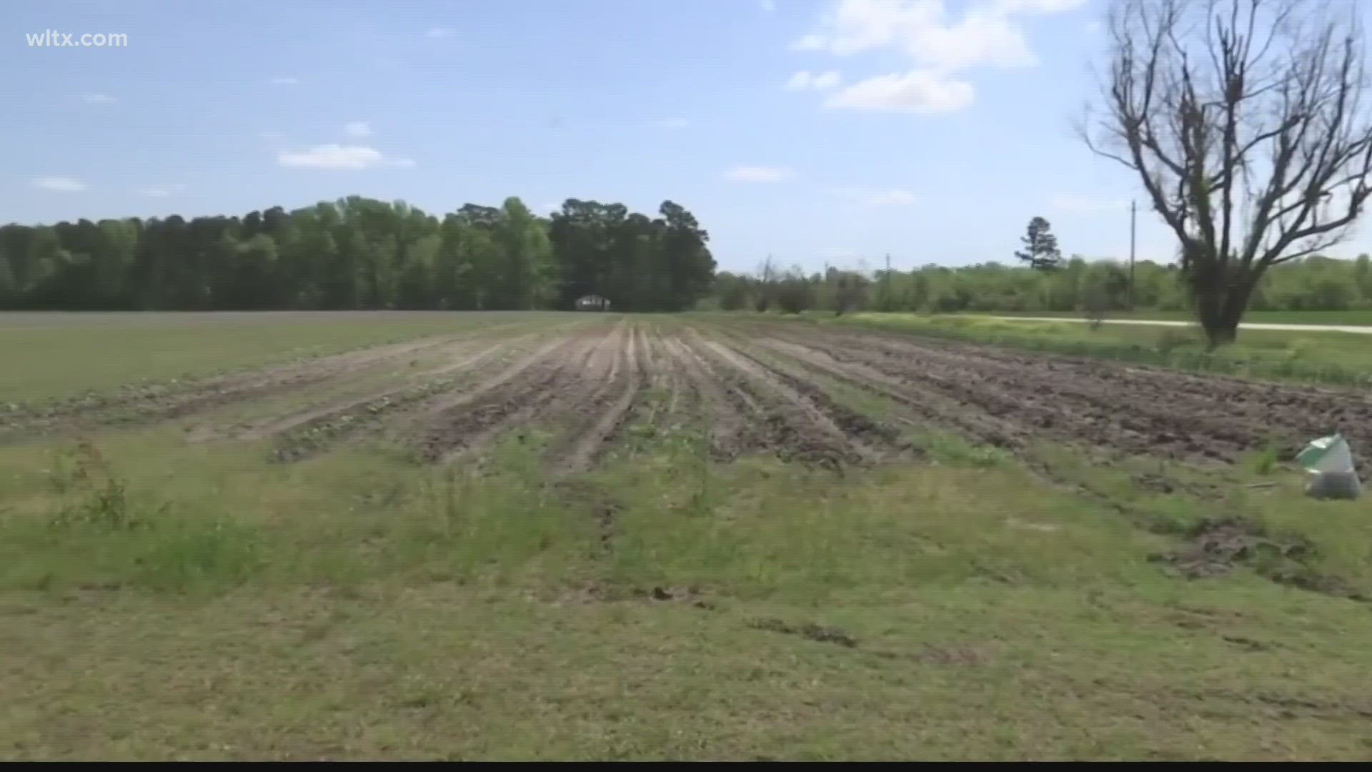 According to the US Department of Agriculture, SC has lost more than 1,000 farms between 1997 and 2017.