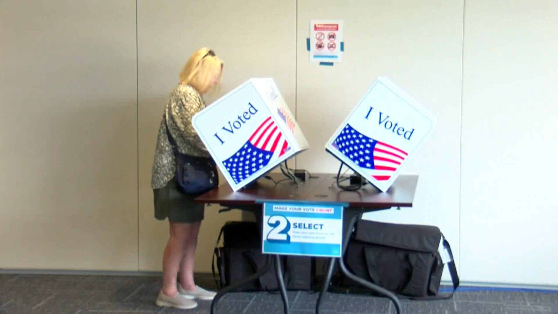 Dead Line Nov Want to vote in November? South Carolina registration deadline is Oct ...