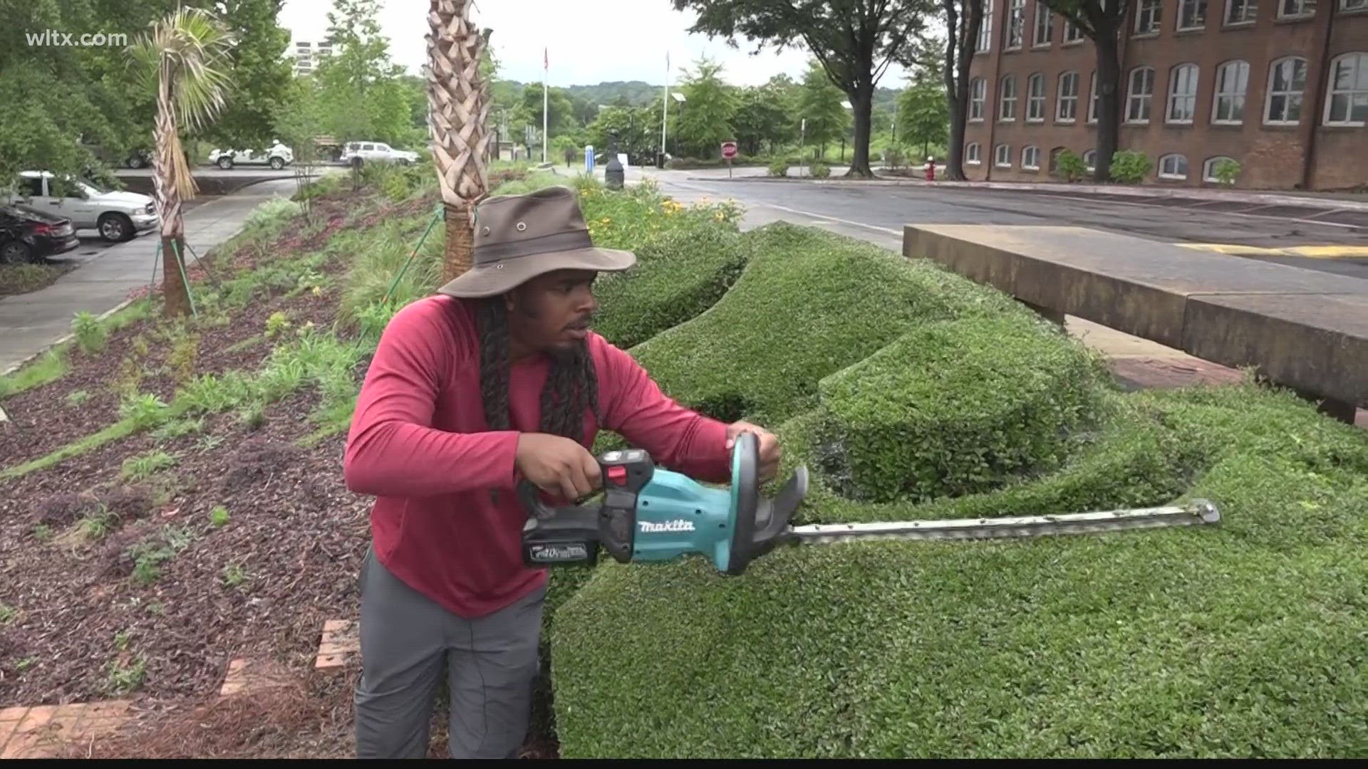 Mike Gibson has created close to 600 topiaries and several are right here in the Midlands.
