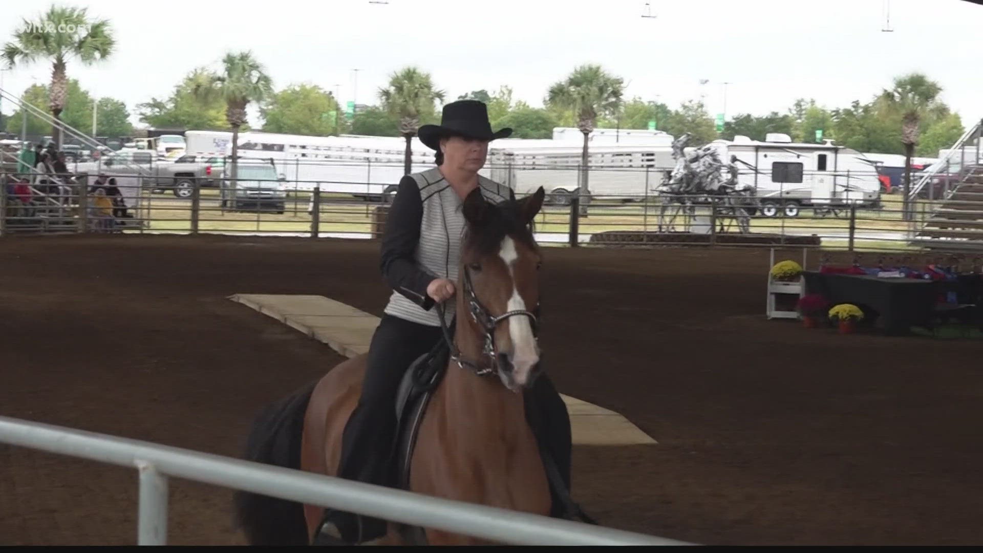 These horses are different than other show horses trotting across the grounds.