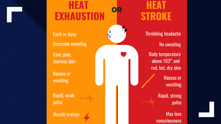 Summer safety: extreme temperature warning | wltx.com