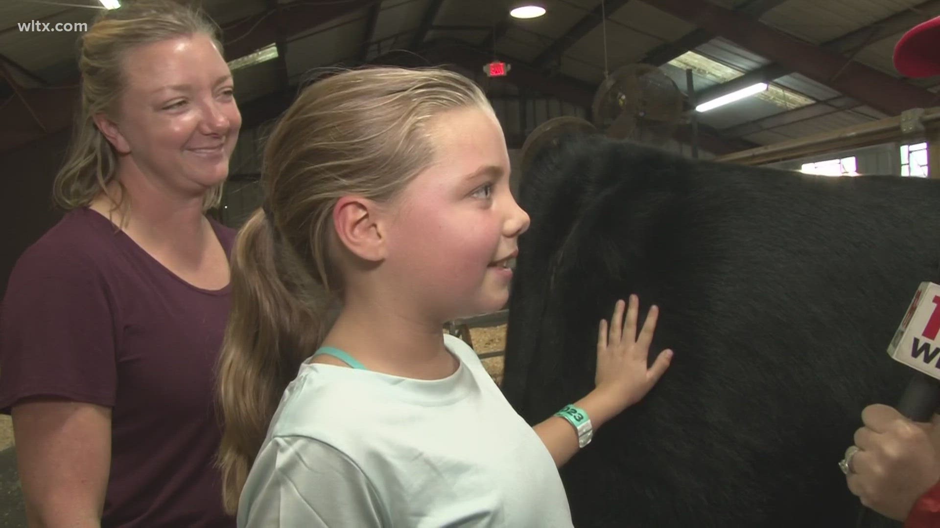 Andrea checks in with a future farmer in the cow barn at the South Carolina State Fair.