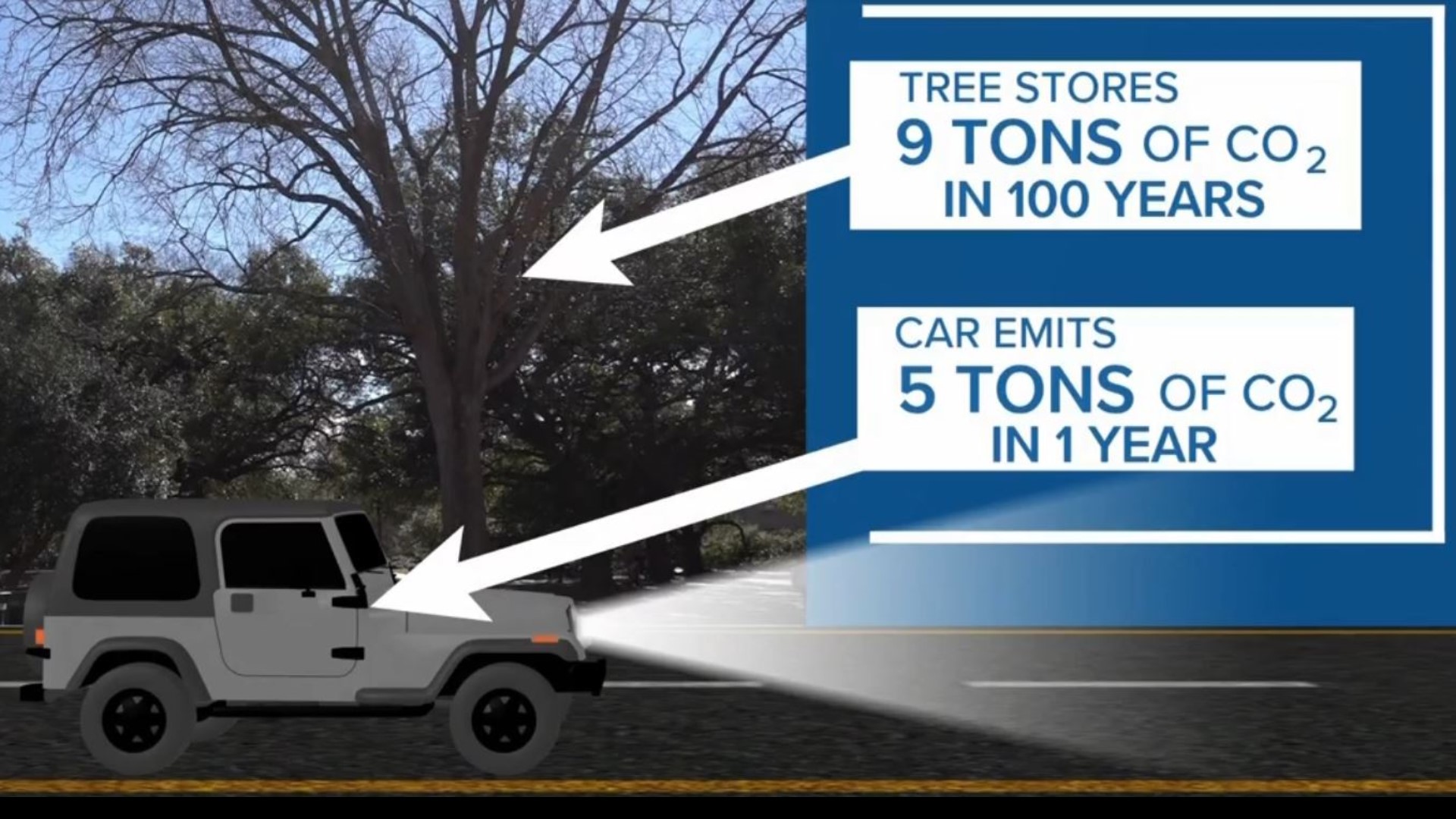 Trees need carbon dioxide to survive, but we took a look at the numbers and it turns out trees alone can't keep up with our carbon dioxide emissions.