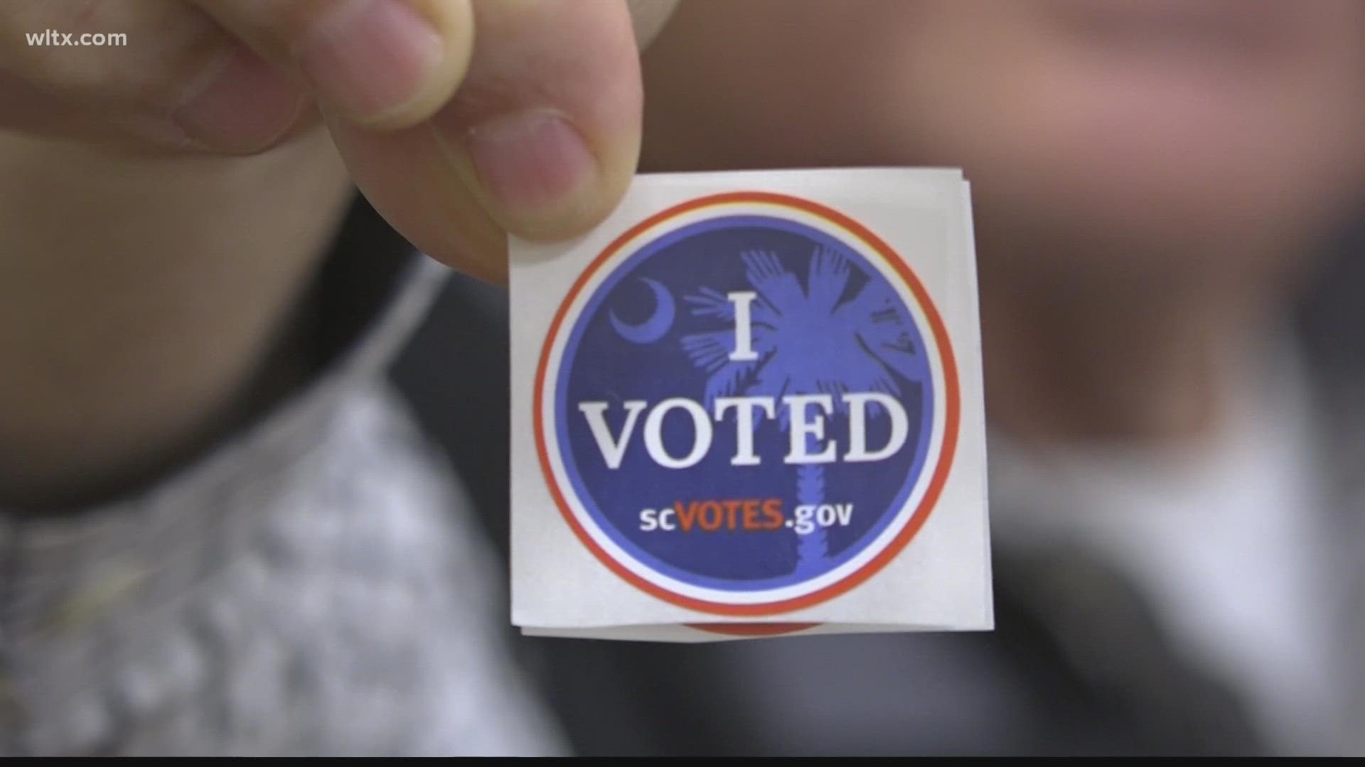 Here's a look at what to expect on your ballot on Tuesday as well as some predictions from the 'News 19 Insiders.'