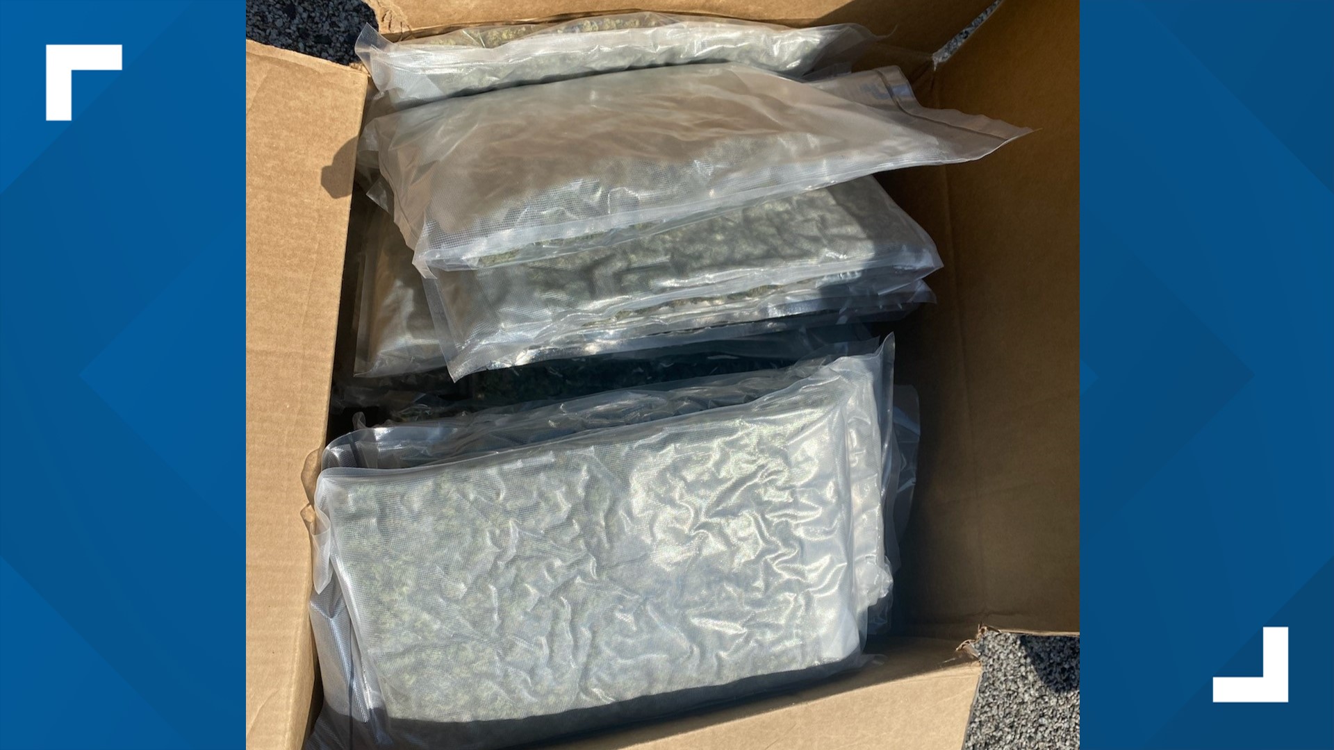 40 pounds of marijuana seized on I-95 in Sumter County | wltx.com