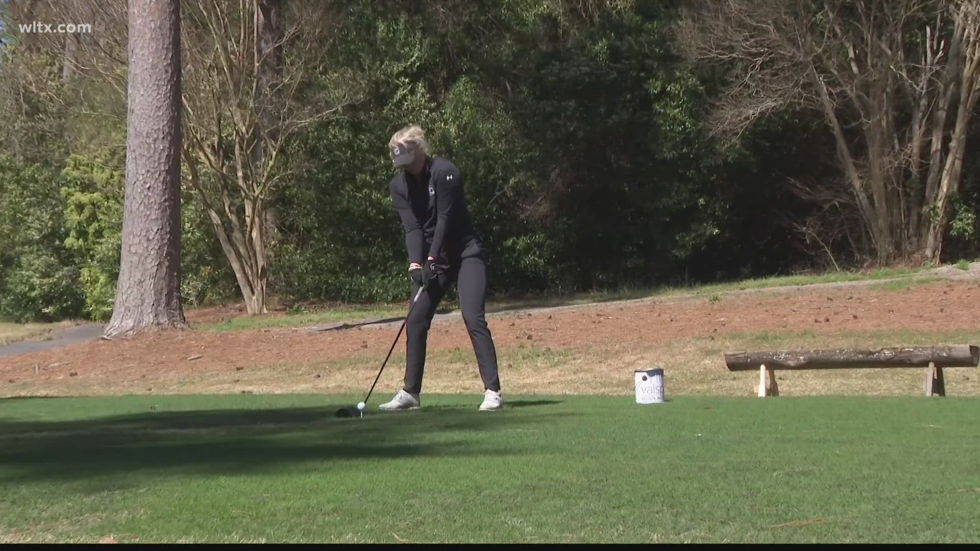 The second-ranked South Carolina women's golf team continues to chase a national championship and they will look to take the first step by advancing out of regionals