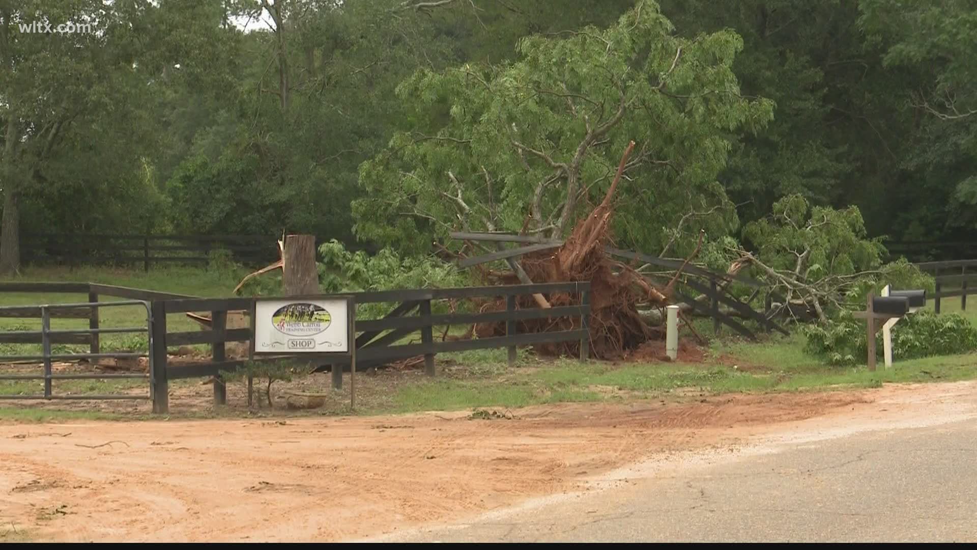 A weak tornado spawned by the remnants of Sally caused some damage in Calhoun County, SC on September 18.