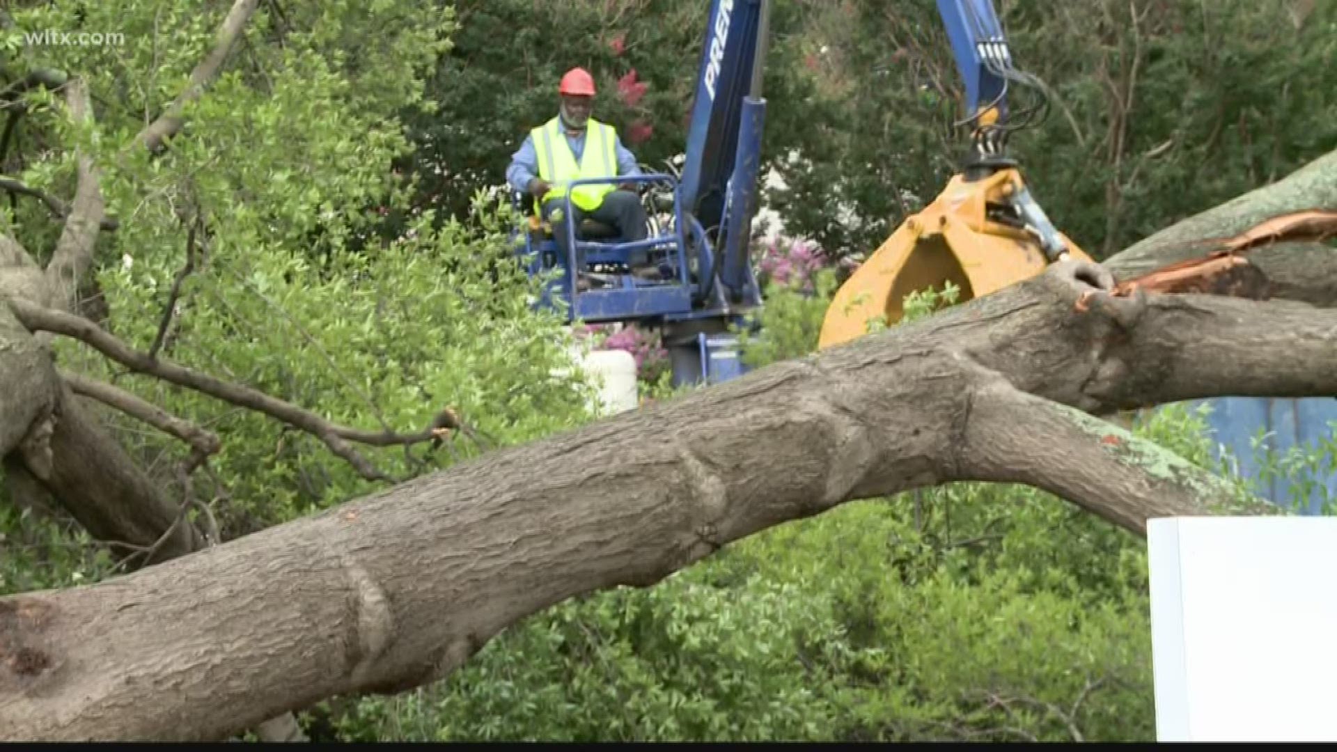 Trees down and roads closed after powerful storms move through Columbia