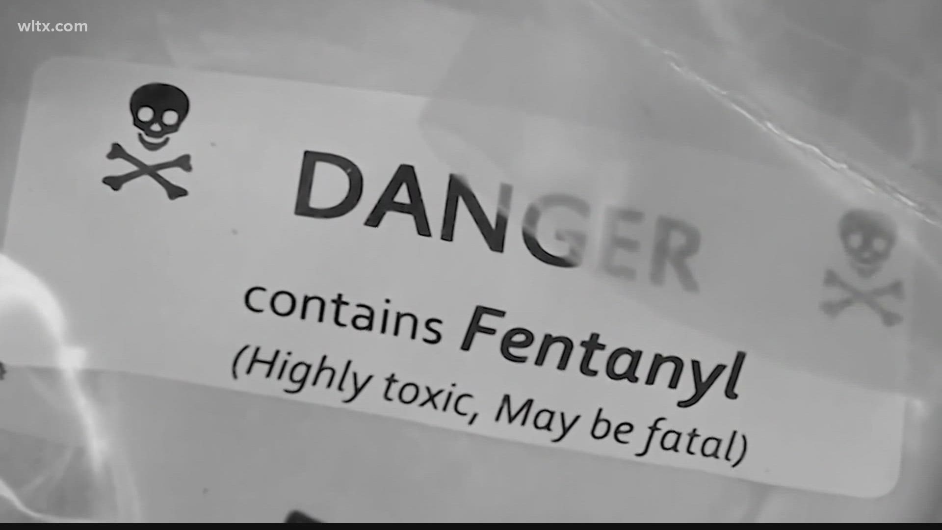 Members of the House and Senate agree legislation concerning fentanyl is high on the list of priorities to criminalize.