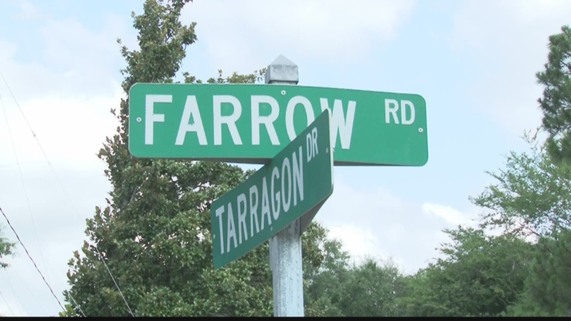 Last week, the city announced they would remove bike lanes along Farrow Road. Today, the project began.