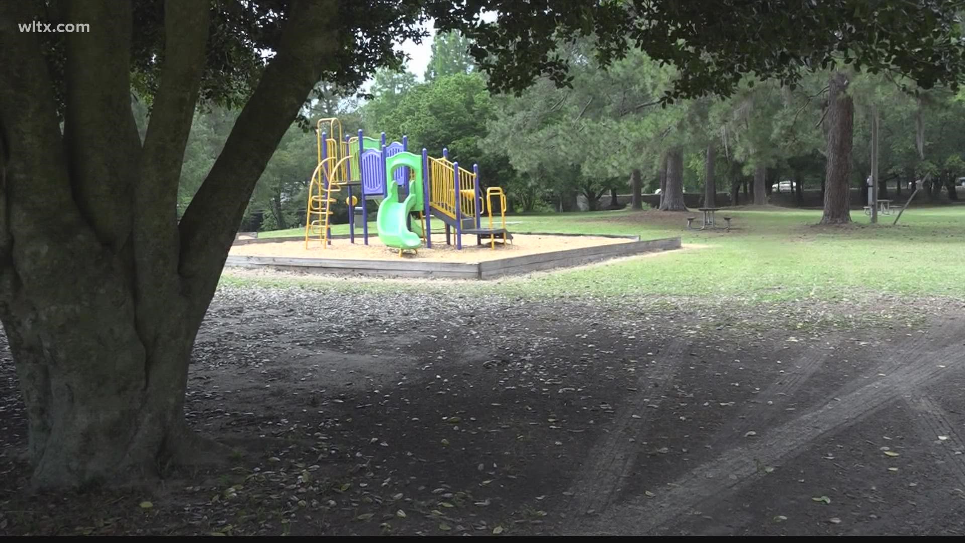 The proposed skate park will be located in the Andrew Dibble area of Edisto Gardens.