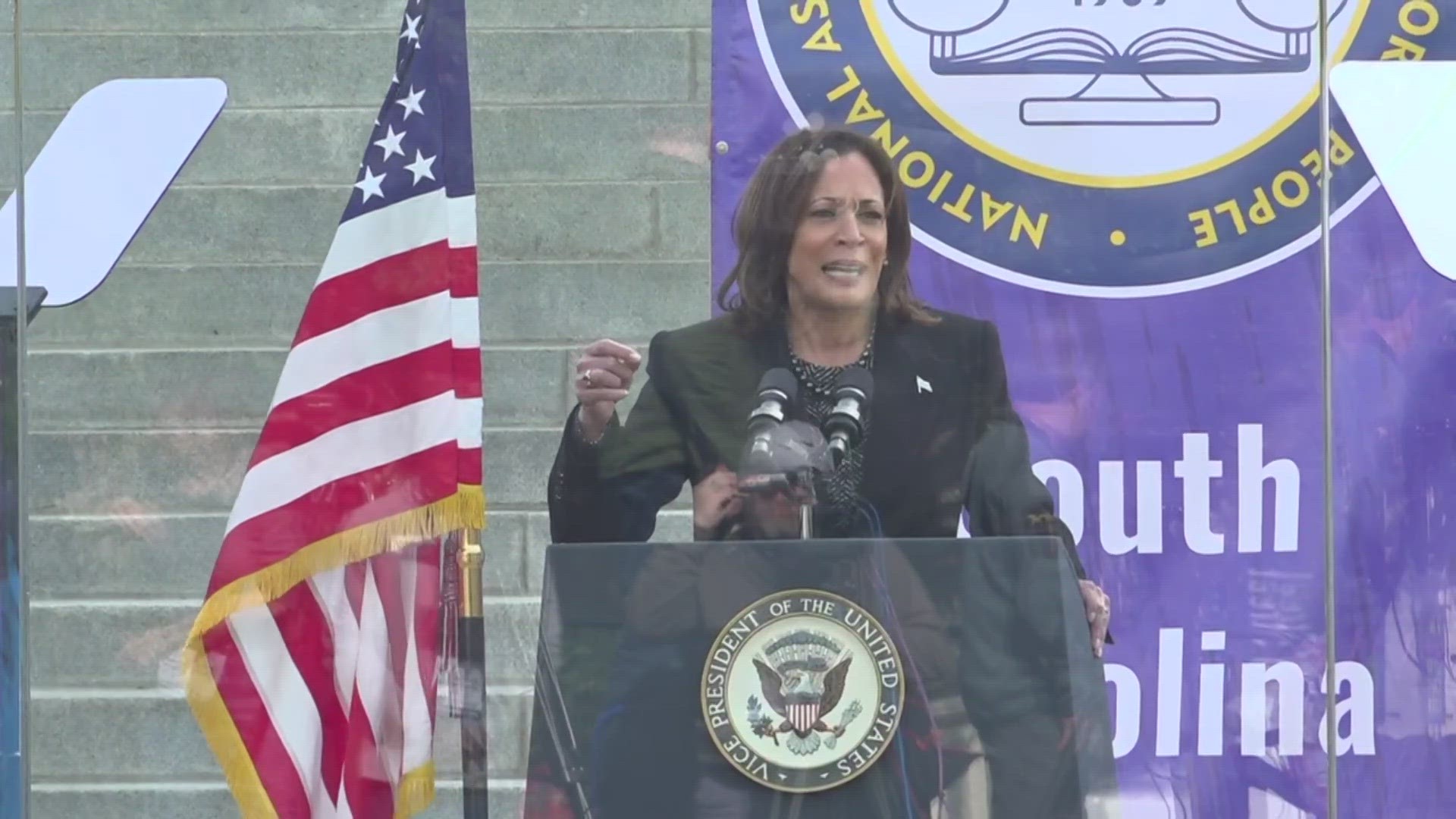 Vice-President Kamala Harris said freedom is under threat at the annual King Day at the Dome event in Columbia, South Carolina.