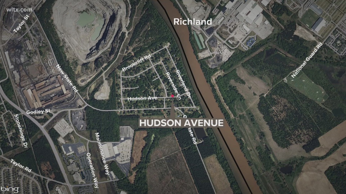 Man arrested after gunfire call during domestic incident in Cayce ...